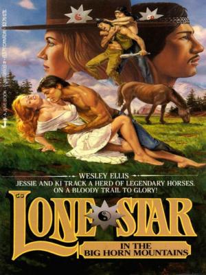Cover of the book Lone Star 56 by Josie Belle