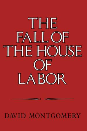 bigCover of the book The Fall of the House of Labor by 