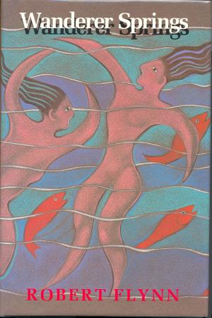Cover of the book Wanderer Springs by Julia Kathryn Garrett