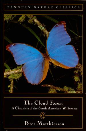 bigCover of the book Cloud Forest by 