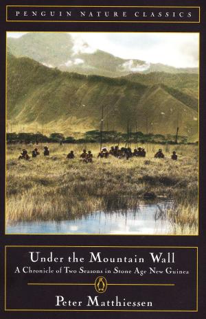 Cover of the book Under the Mountain Wall by Tim Weaver