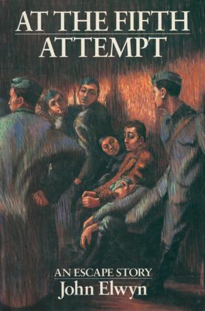 Cover of the book At the Fifth Attempt by Manfred Griehl