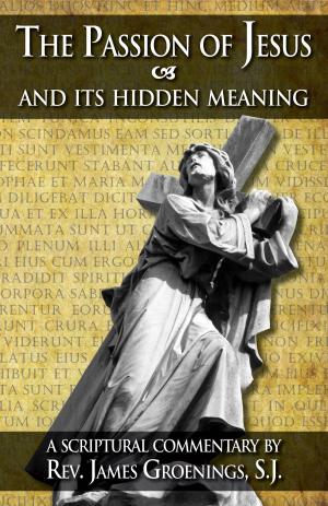 Cover of the book The Passion of Jesus and Its Hidden Meaning by John Edward Beahn
