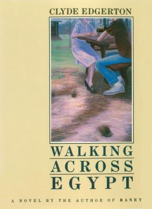 Cover of the book Walking Across Egypt by John R. Elting