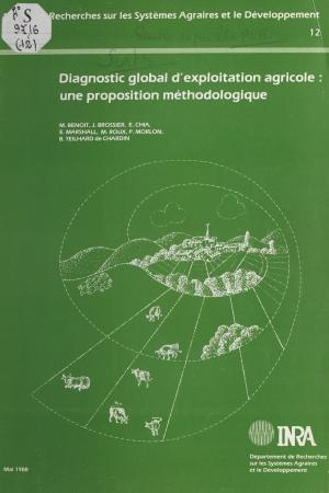 Cover of the book Diagnostic global d'exploitation agricole : Une proposition méthodologique by Anne-Marie Ozanam, Henri Mitterand