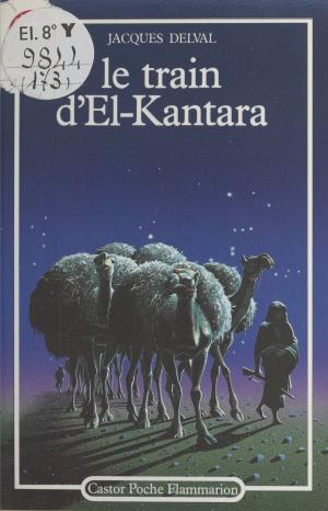 Cover of the book Le train d'El-Kantara by Frédéric Charpier