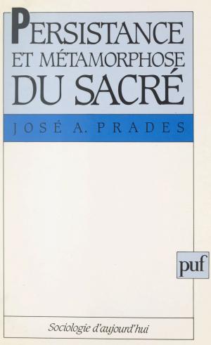 Cover of the book Persistance et métamorphose du sacré by Pierre Brunel