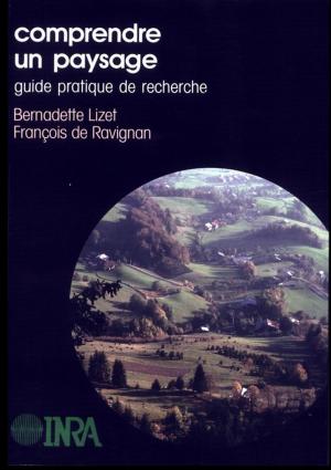 Cover of the book Comprendre un paysage : guide pratique de recherche by Marien Jean-Noël, Larzillière Adélaïde, Louppe Dominique, Dubiez Émilien