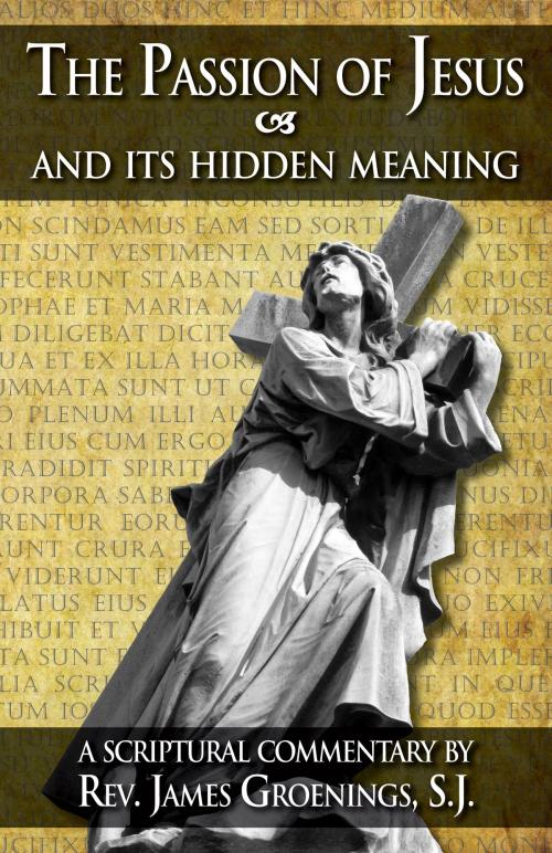 Cover of the book The Passion of Jesus and Its Hidden Meaning by Rev. Fr. James Groenings, TAN Books