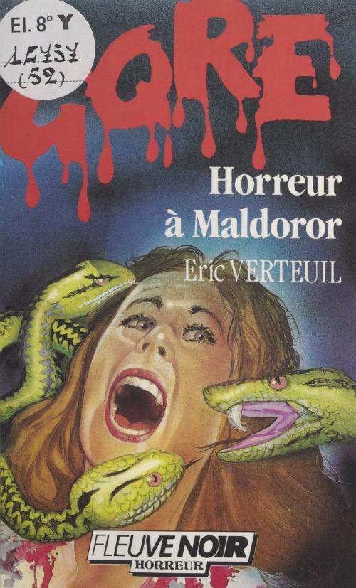 Cover of the book Horreur à Maldoror by Éric Verteuil, Daniel Riche, (Fleuve Éditions) réédition numérique FeniXX