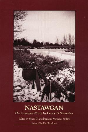 bigCover of the book Nastawgan by 