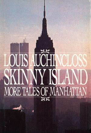 Book cover of Skinny Island