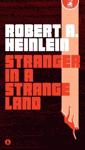 Cover of the book Stranger in a Strange Land by Naomi Clark