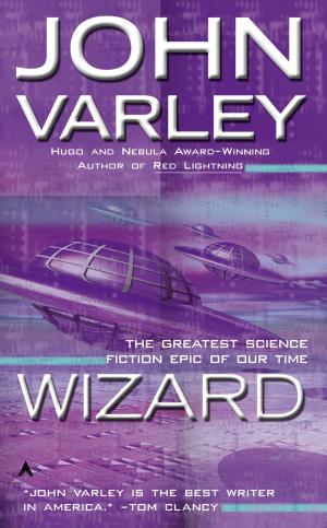 Cover of the book Wizard by Victoria Laurie
