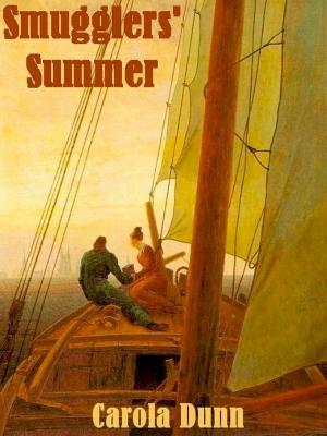 Book cover of Smugglers' Summer