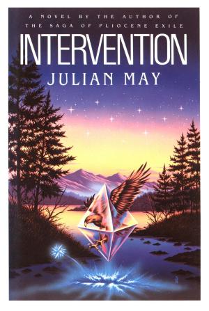 Cover of the book Intervention by Erica Silverman