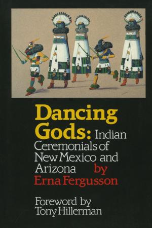 Cover of the book Dancing Gods by Nandini Pillai Kuehn