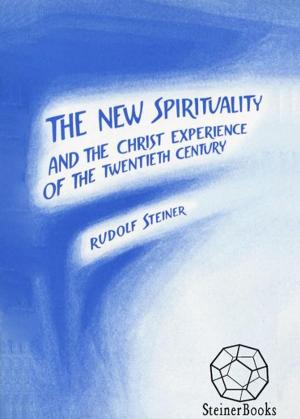 Cover of the book The New Spirituality: And the Christ Experience of the Twentieth Century by Laurie Glass