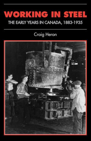 Cover of the book Working in Steel by 