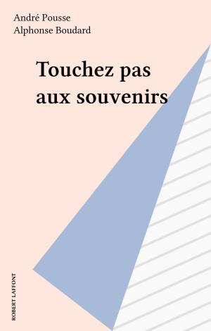 Book cover of Touchez pas aux souvenirs