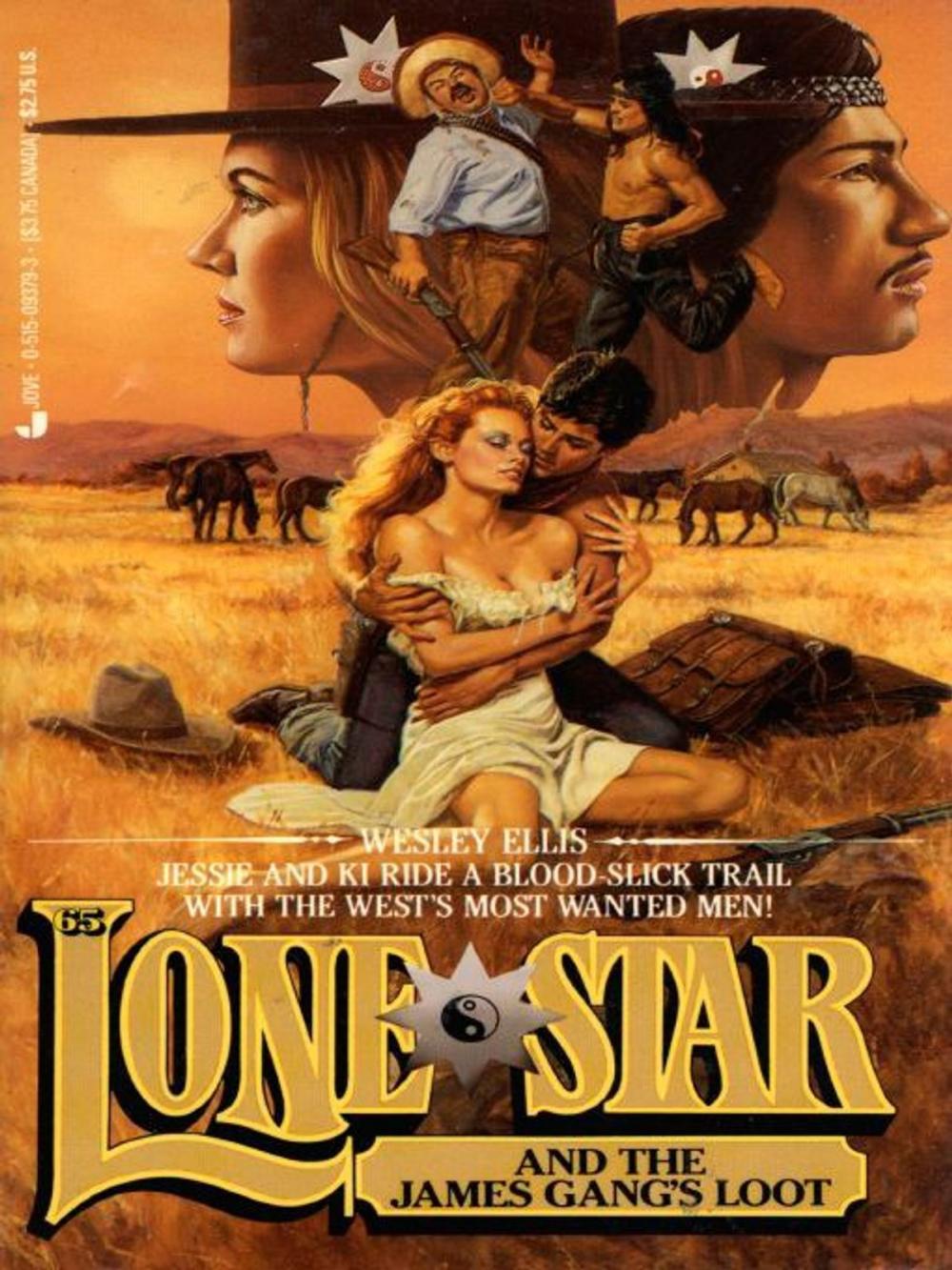 Big bigCover of Lone Star 65