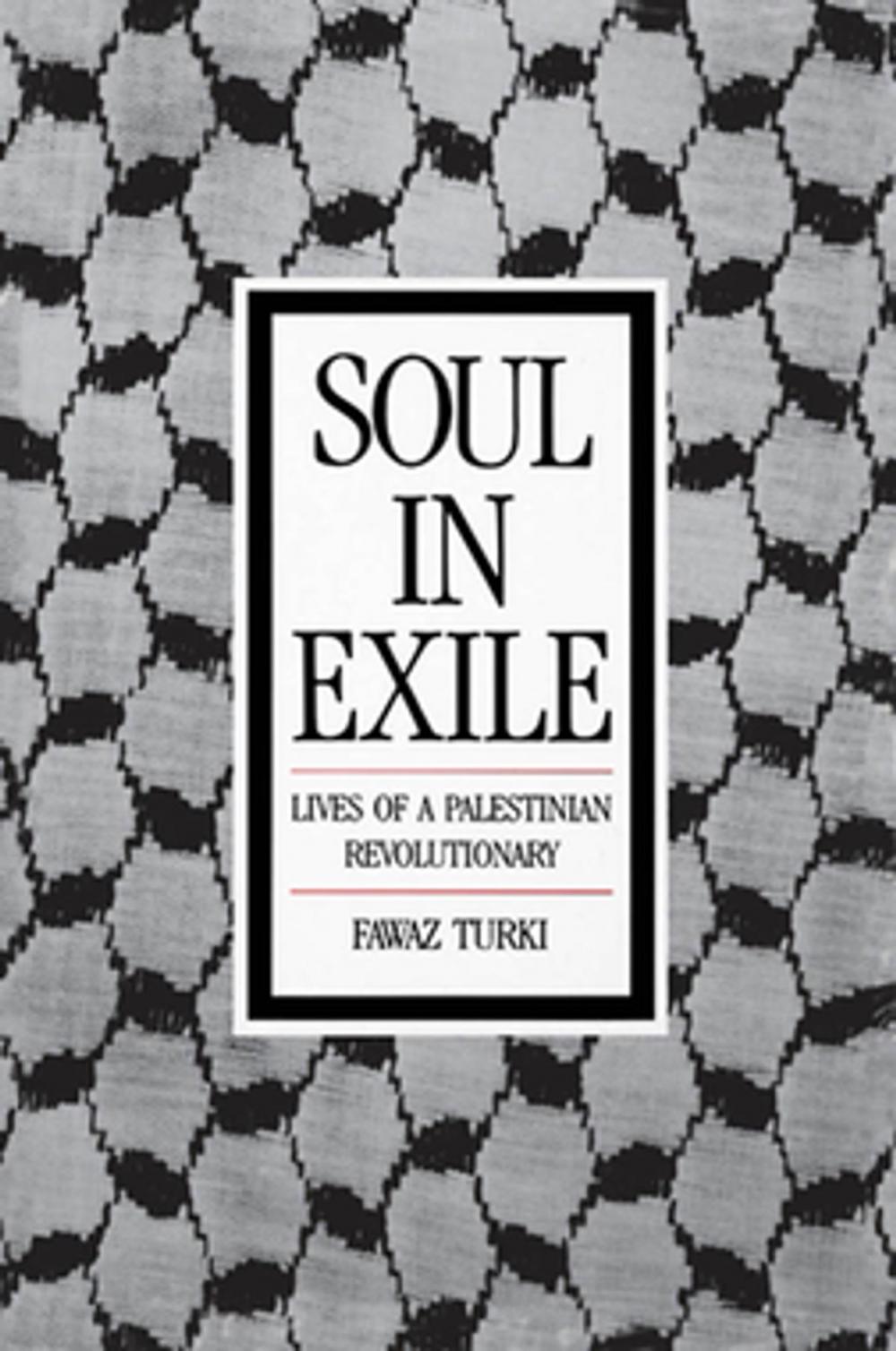 Big bigCover of Soul in Exile