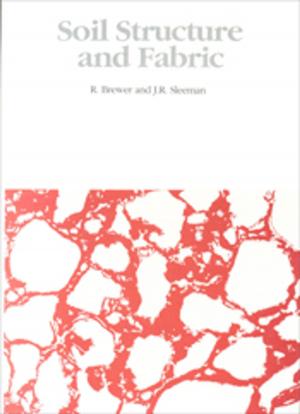Cover of the book Soil Structure and Fabric by JC Noble