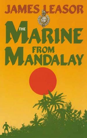 Book cover of The Marine From Mandalay