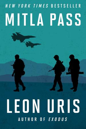 Cover of the book Mitla Pass by Koos Stadler