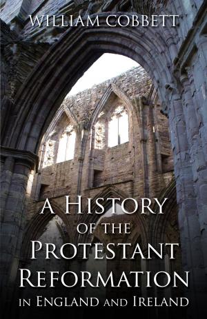 Cover of the book A History of the Protestant Reformation in England and Ireland by Rev. Fr. Jeffrey Kirby S.T.L.