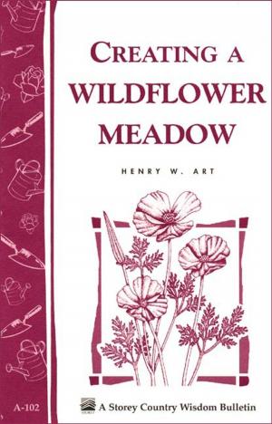 Cover of the book Creating a Wildflower Meadow by Louise Riotte