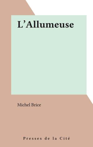 Cover of the book L'Allumeuse by Erwan Bergot