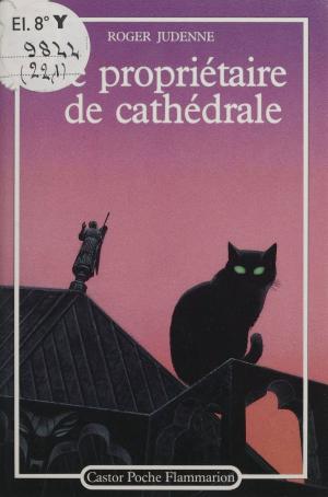 Cover of the book Le Propriétaire de cathédrale by François Taillandier