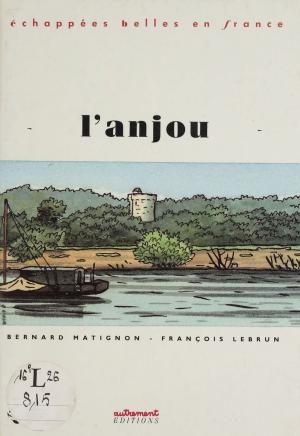 Cover of the book L'Anjou by Michel Pougeoise, Henri Mitterand