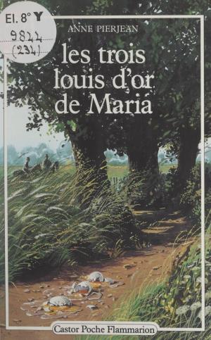 Book cover of Les trois louis d'or de Maria
