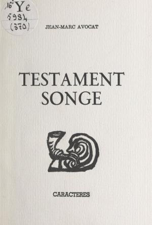 Cover of the book Testament songe by Patrick O'Duffy
