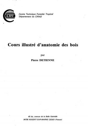 Cover of the book Cours illustré d'anatomie des bois by Philippe Ryckewaert