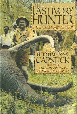 Book cover of The Last Ivory Hunter