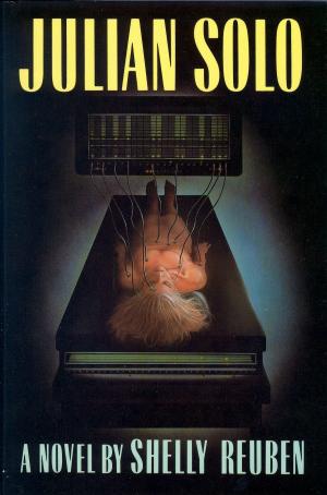 Book cover of Julian Solo