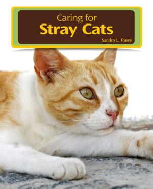 Cover of the book Caring for Stray Cats by Debra M. Eldredge, DVM