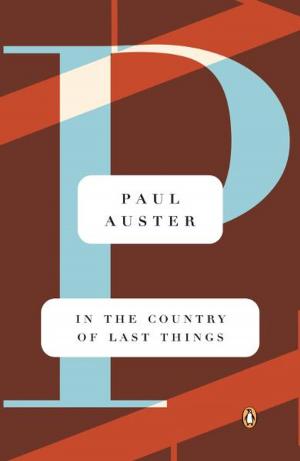 Cover of the book In the Country of Last Things by P. J. Stahl