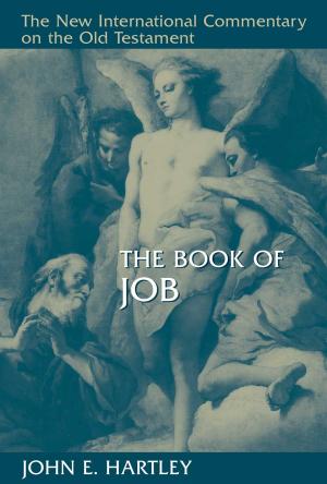 Cover of the book The Book of Job by Ira C. Lupu, Robert W. Tuttle
