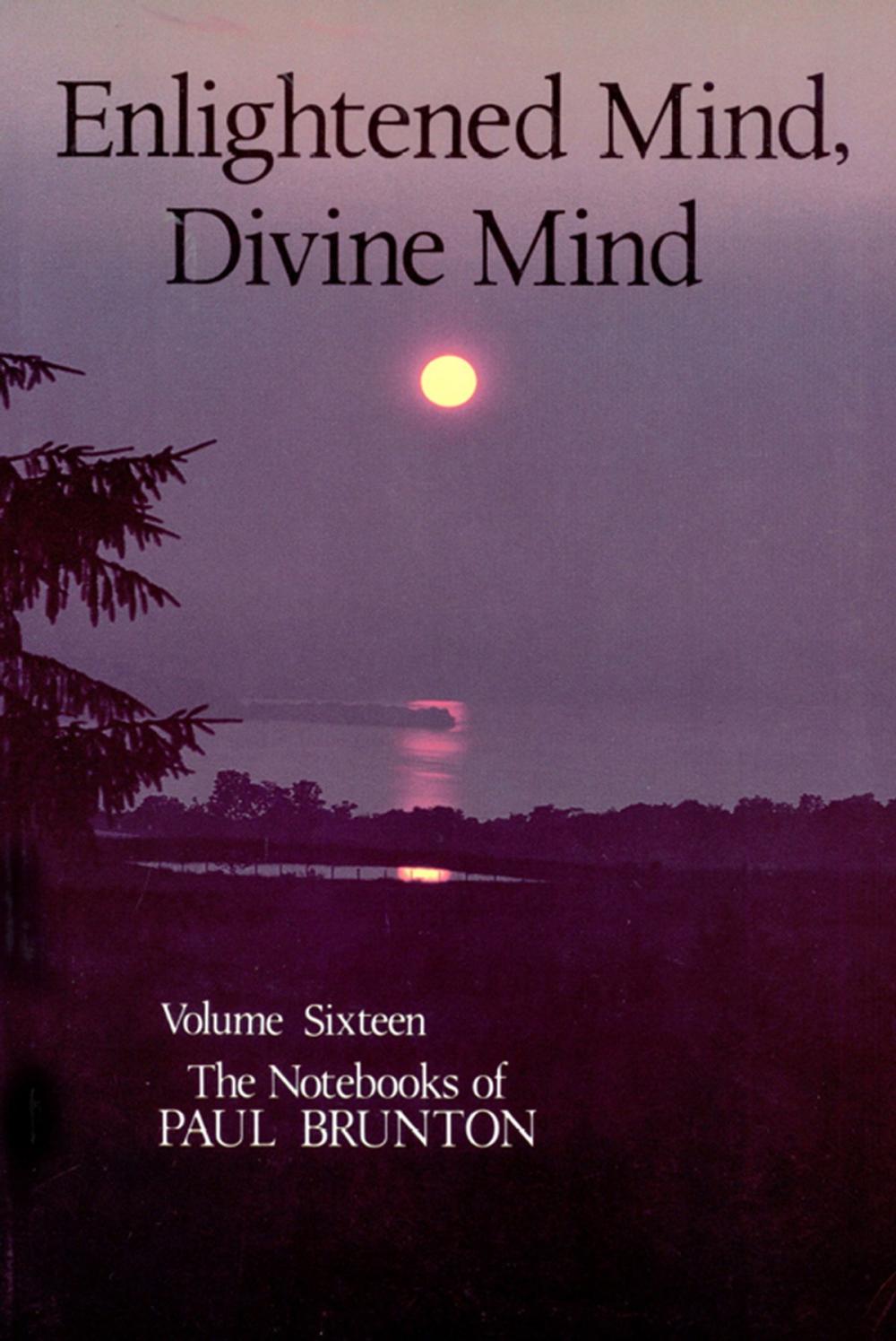 Big bigCover of Enlightened Mind, Divine Mind