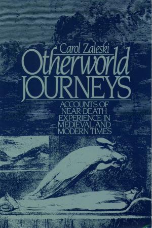 Cover of the book Otherworld Journeys by Lea Rose