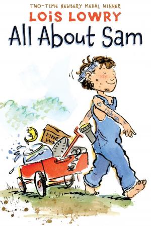 Book cover of All About Sam