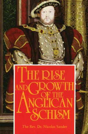 bigCover of the book The Rise And Growth of the Anglican Schism by 