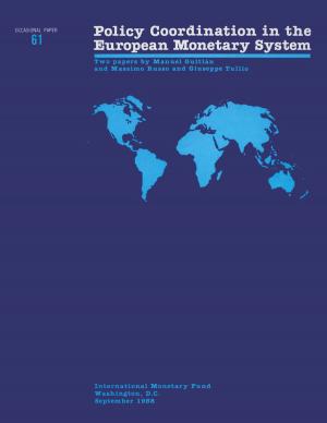 Cover of the book Policy Coordination in the European Monetary System - Occa Paper 61 by Davina Ms. Jacobs, Han Mr. Herderschee