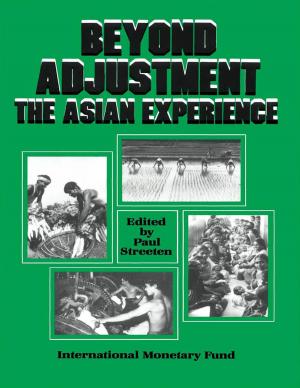 Cover of the book Beyond Adjustment: The Asian Experience by Eswar Mr. Prasad, Qing Mr. Wang, Thomas Mr. Rumbaugh