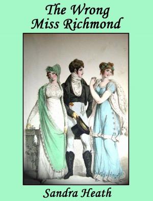 Cover of the book The Wrong Miss Richmond by Amii Lorin