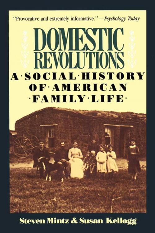Cover of the book Domestic Revolutions by Steven Mintz, Susan Kellogg, Free Press